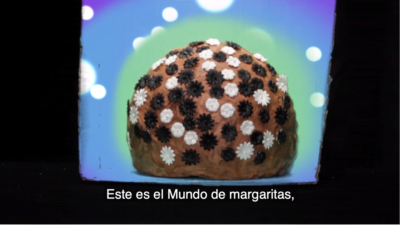 Bienvenidos al mundo de margaritas :