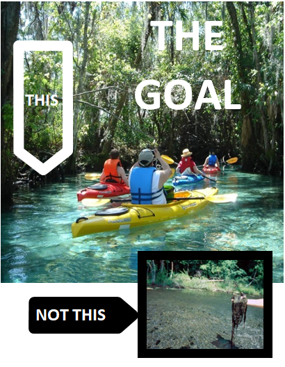 Crystal River kayaking