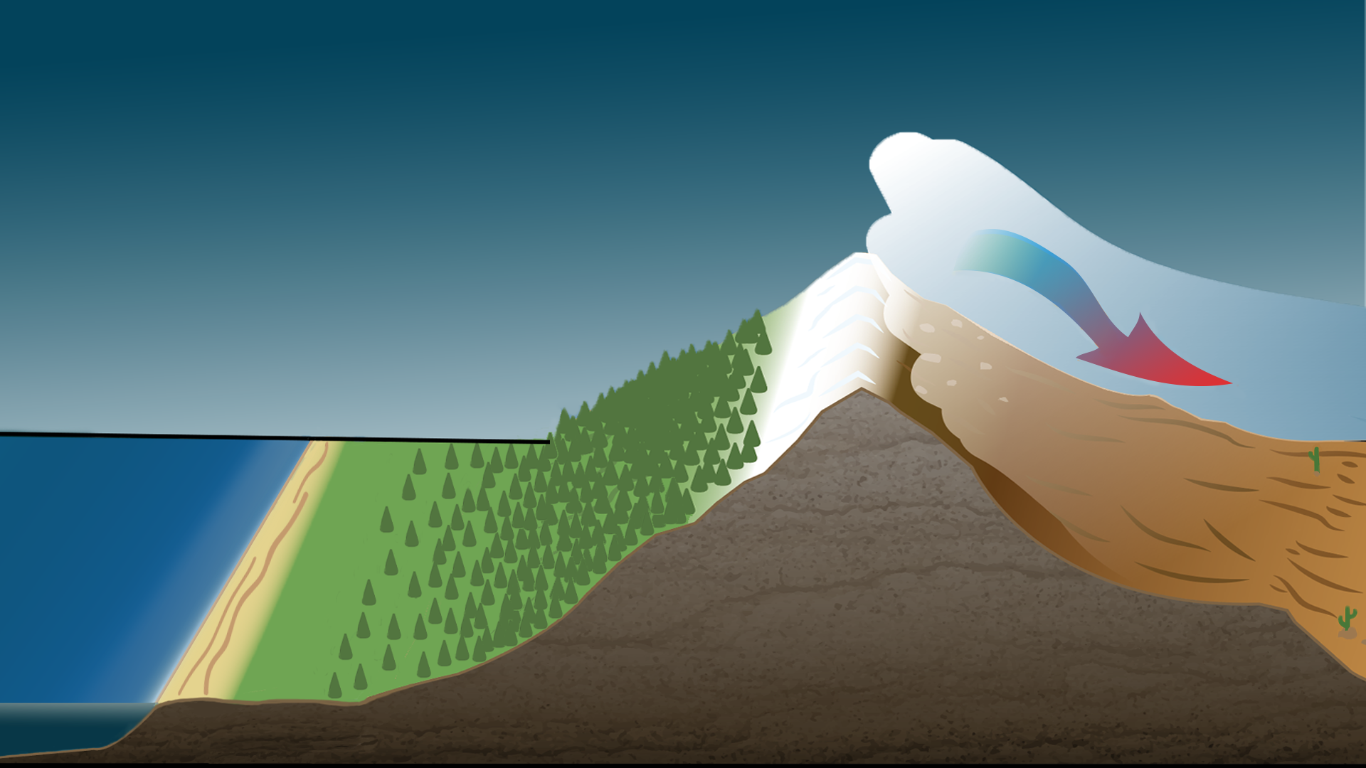 An illustration showing the same cross section of a mountain range. An arrow indicates the air warming as it flows from the peak down the right side of the mountain, which is brown and less vegetated.
